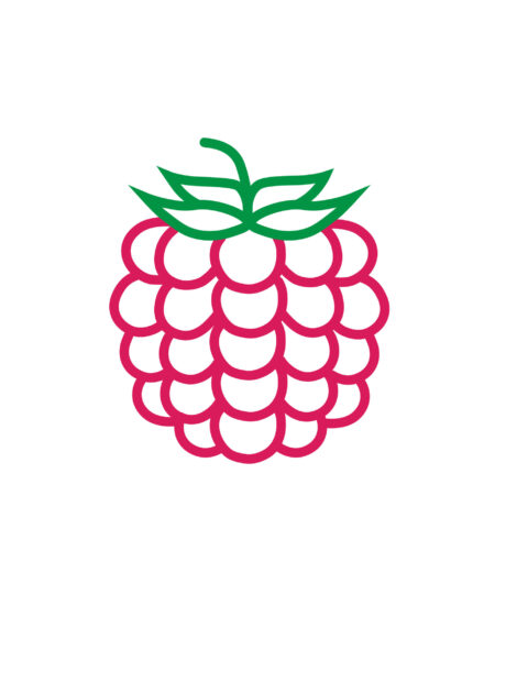 Raspberry icon